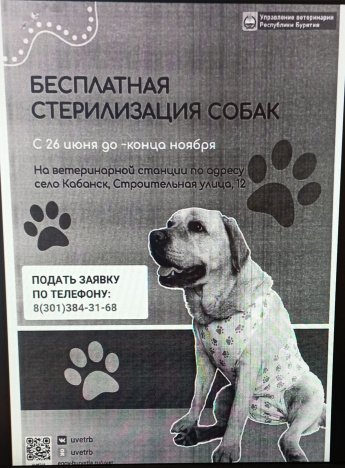В целях предупреждения появления нежелательного потомства у домашних животных Правительством Республики Бурятия в 2023 году выделены финансовые средства из республиканского бюджета на реaлизацию  проекта по бесплатной стерилизации домашних животных