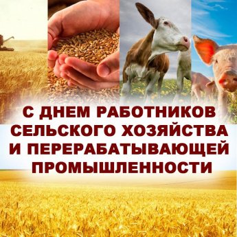 С ПРАЗДНИКОМ ОДНОСЕЛЬЧАНЕ!