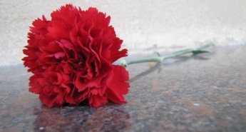 Всероссийская акция "Красная Гвоздика"